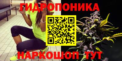 гидропоника Бузулук